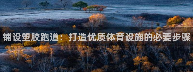 百度红足一1是什么样子的：铺设塑胶跑道：打造优质体育设施的必要步骤