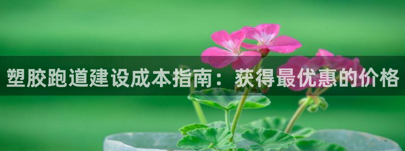 333814红·足一世比分：塑胶跑道建设成本指南：获得最优惠的价格