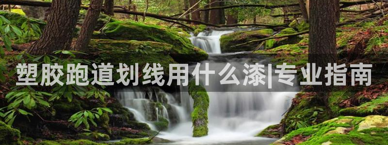 红足1世1站2站管理网：塑胶跑道划线用什么漆|专业指南