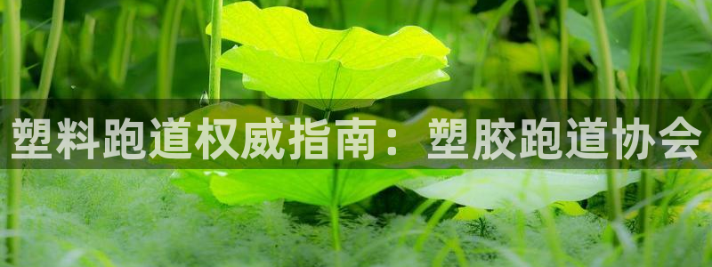 红足一一世足球网开奖记录：塑料跑道权威指南：塑胶跑道协会