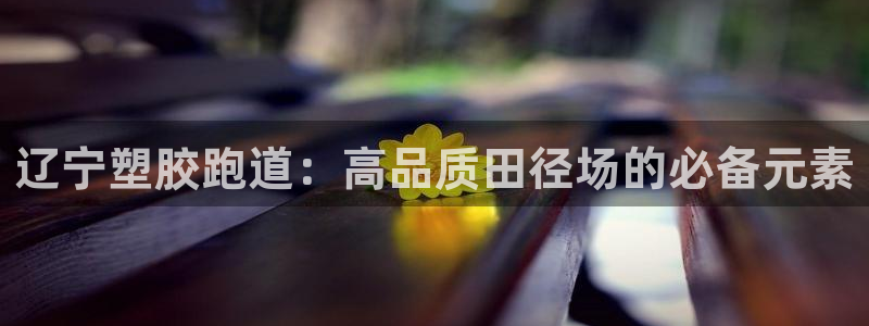 红足一1世比分球探：辽宁塑胶跑道：高品质田径场的必备元素