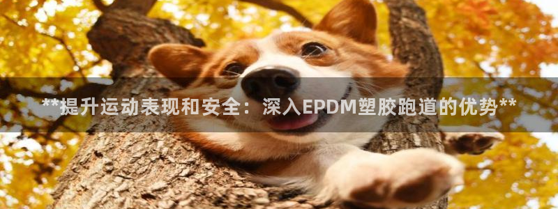 红足1世手足球比分：**提升运动表现和安全：深入EPDM塑胶跑道的优势**