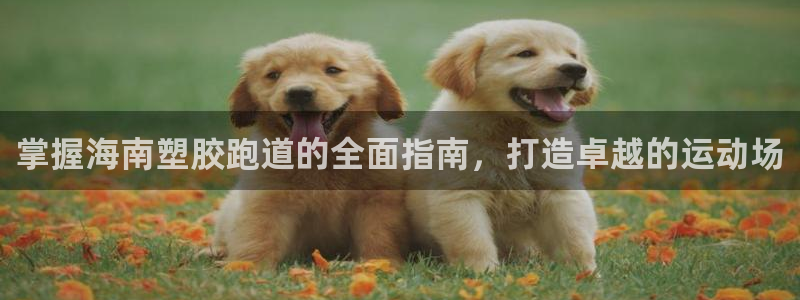 红足一1世666814足球：掌握海南塑胶跑道的全面指南，打造卓越的运动场