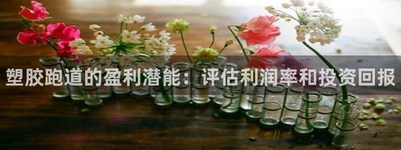 红足i世足球手机网