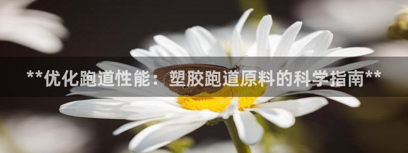 红足1一世 2站：**优化跑道性能：塑胶跑道原料的科学指南**