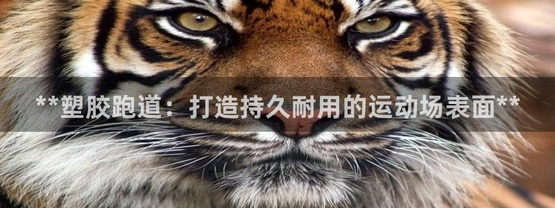 红足1世足球比分 localhost：**塑胶跑道：打造持久耐用的运动场表面**