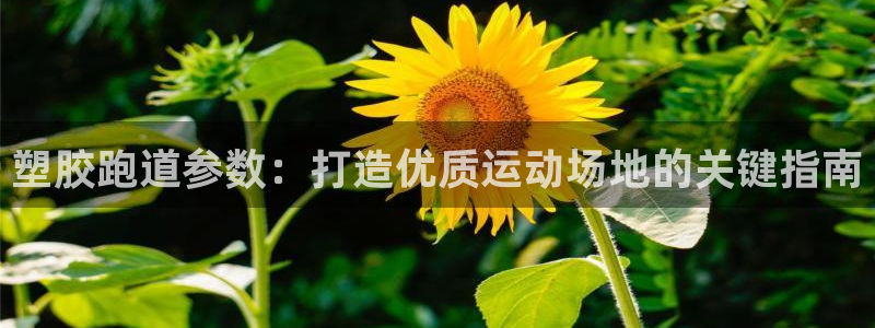 红足一1世皇冠登录：塑胶跑道参数：打造优质运动场地的关键指南