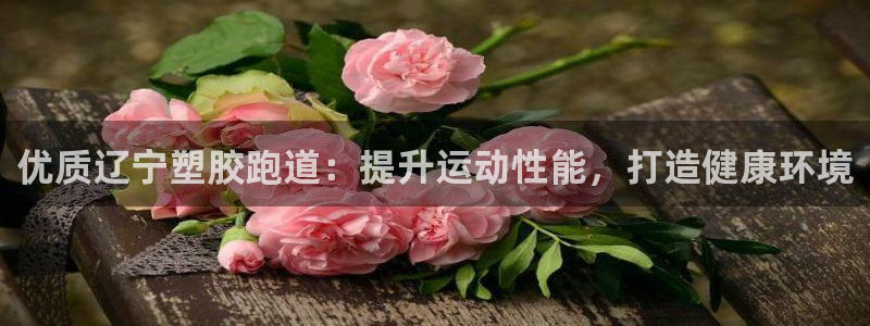 红足一1世比分网：优质辽宁塑胶跑道：提升运动性能，打造健康环境