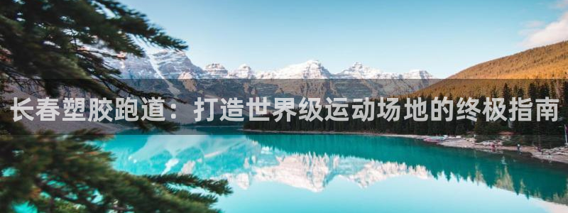红足一1世666814足球：长春塑胶跑道：打造世界级运动场地的终极指南
