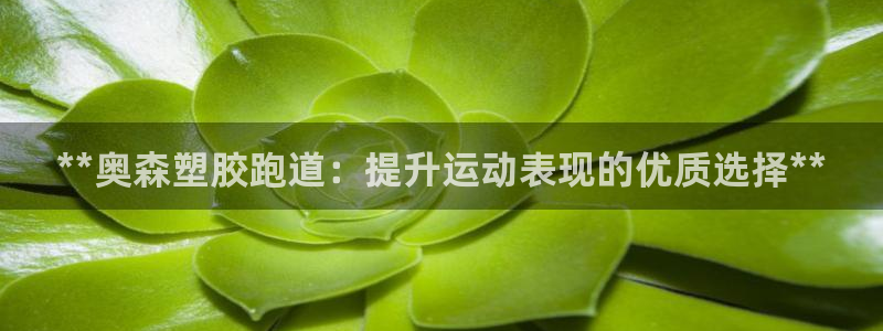红足一1世666814足球比分网：**奥森塑胶跑道：提升运动表现的优质选择**