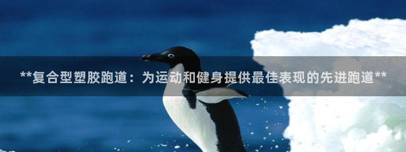 红足1一世 2站：**复合型塑胶跑道：为运动和健身提供最佳表现的先进跑道**