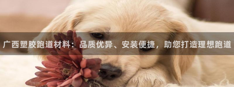 新2足球平台出租网站：广西塑胶跑道材料：品质优异、安装便捷，助您打造理想跑道