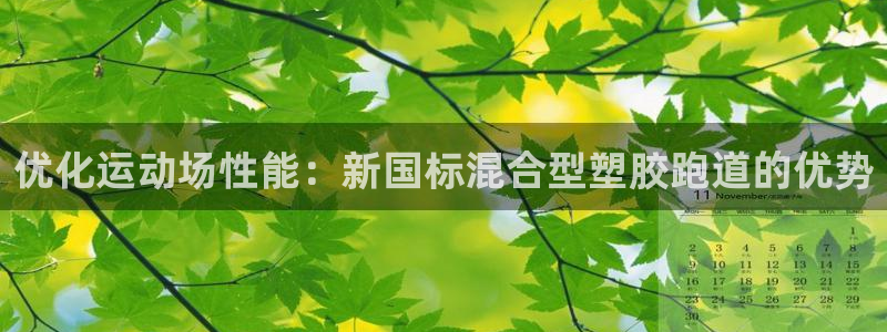 百度红足一1是为什么：优化运动场性能：新国标混合型塑胶跑道的优势