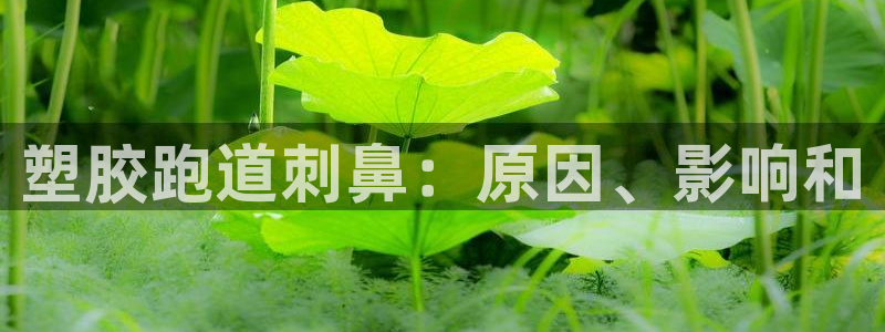 百度红足一1是什么样子的：塑胶跑道刺鼻：原因、影响和