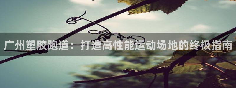 红足1世足球比分 localhost：广州塑胶跑道：打造高性能运动场地的终极指南