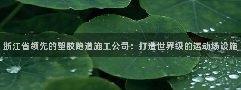 红足一1世77814：浙江省领先的塑胶跑道施工公司：打造世界级的运动场设施
