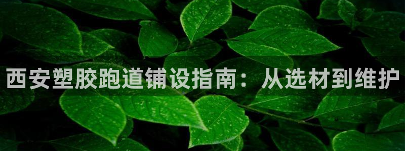 红足一1世比分球探：西安塑胶跑道铺设指南：从选材到维护