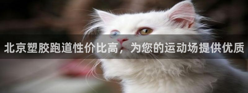 百度红足一1使用说明：北京塑胶跑道性价比高，为您的运动场提供优质