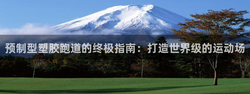 红足一1世手机开奖：预制型塑胶跑道的终极指南：打造世界级的运动场