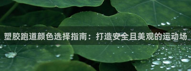 777814红·足一世比分篮球：塑胶跑道颜色选择指南：打造安全且美观的运动场