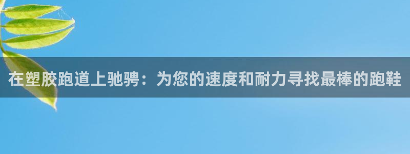 红足1世手足球比分：在塑胶跑道上驰骋：为您的速度和耐力寻找最棒的跑鞋
