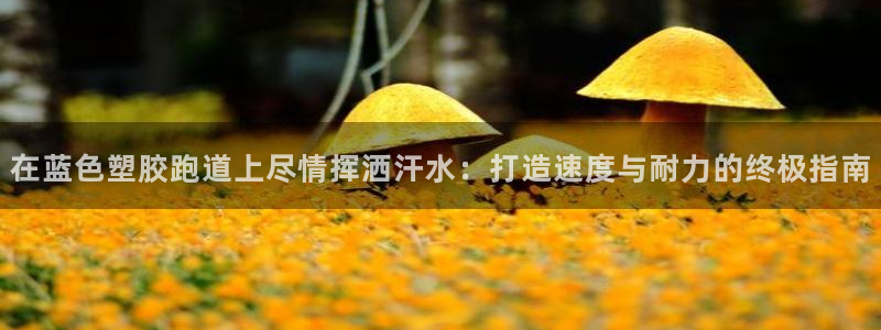 红足一1世666814足球：在蓝色塑胶跑道上尽情挥洒汗水：打造速度与耐力的终极指南