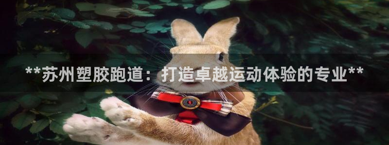 777814红·足一世比分：**苏州塑胶跑道：打造卓越运动体验的专业**
