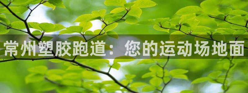 红足1世1站：常州塑胶跑道：您的运动场地面