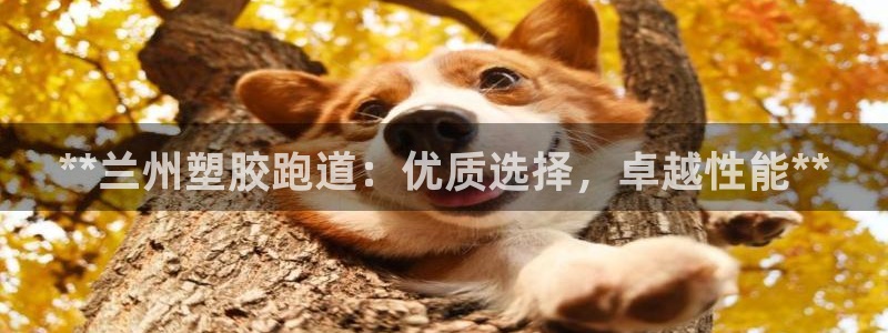 红足1世开奖预测：**兰州塑胶跑道：优质选择，卓越性能**