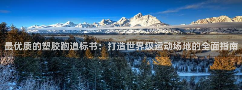 333814红·足一世比分：最优质的塑胶跑道标书：打造世界级运动场地的全面指南