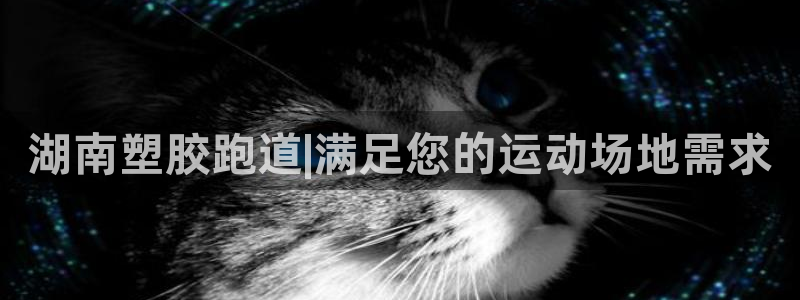 红足体育网：湖南塑胶跑道|满足您的运动场地需求