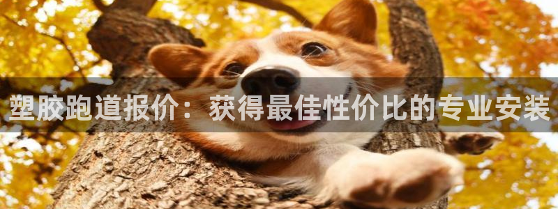 红足一1世开奖记录：塑胶跑道报价：获得最佳性价比的专业安装