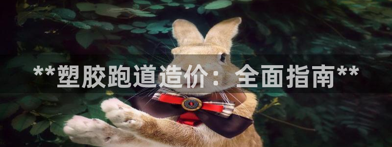 红足一1世77814：**塑胶跑道造价：全面指南**