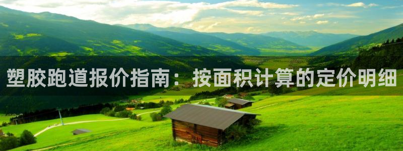 红足1世1站2站管理网：塑胶跑道报价指南：按面积计算的定价明细