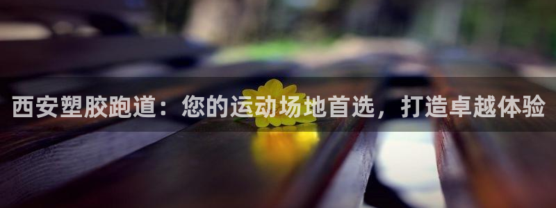 44814红足：西安塑胶跑道：您的运动场地首选，打造卓越体验