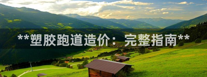 红足一1世手机版赛果：**塑胶跑道造价：完整指南**