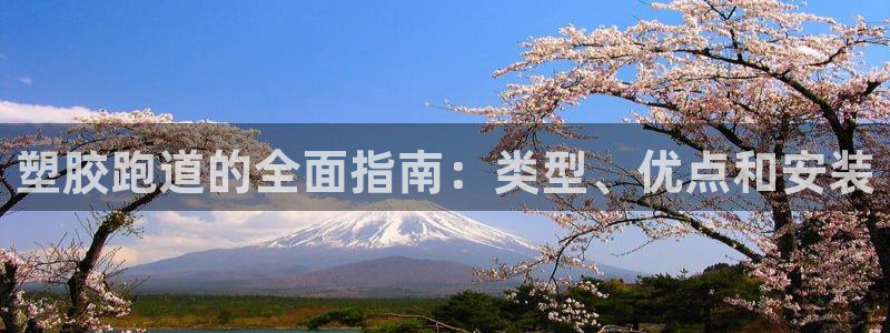 777814红·足一世比分：塑胶跑道的全面指南：类型、优点和安装