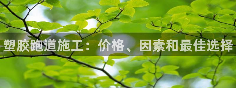 红足一1世官网：塑胶跑道施工：价格、因素和最佳选择