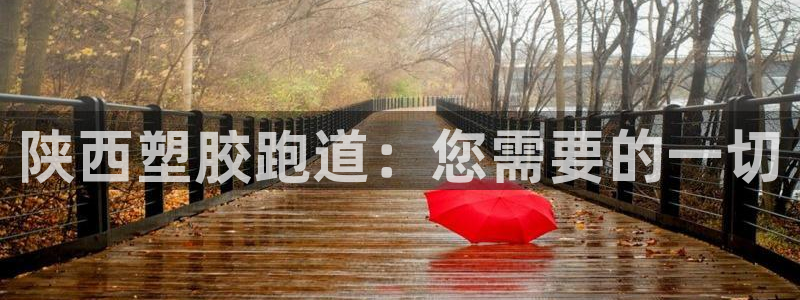 66814红足：陕西塑胶跑道：您需要的一切