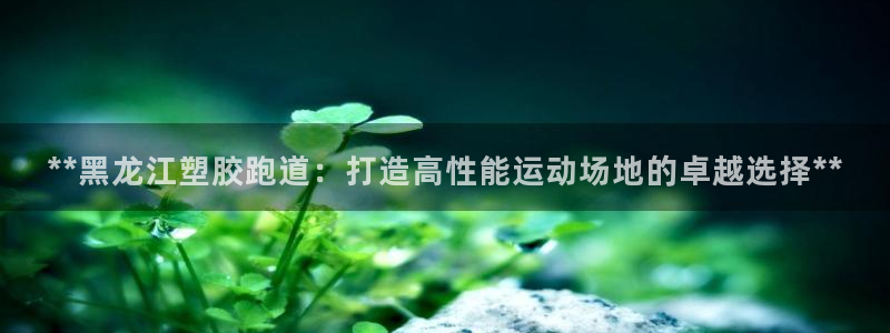 红足1一世开奖版：**黑龙江塑胶跑道：打造高性能运动场地的卓越选择**