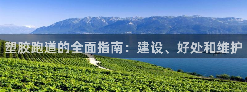 红足1一世：塑胶跑道的全面指南：建设、好处和维护