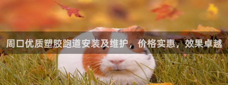 红足一1世66814：周口优质塑胶跑道安装及维护，价格实惠，效果卓越