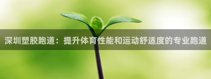 百度红足一1是什么样子的：深圳塑胶跑道：提升体育性能和运动舒适度的专业跑道