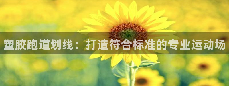 百度红足一1是干什么的：塑胶跑道划线：打造符合标准的专业运动场