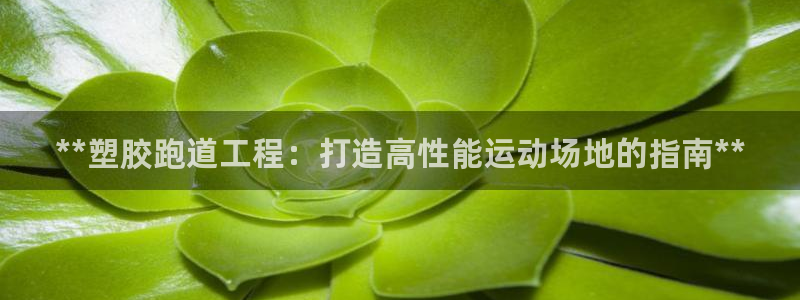 红足 世足球手机网