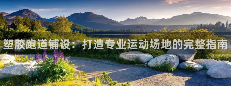 红足一丰：塑胶跑道铺设：打造专业运动场地的完整指南