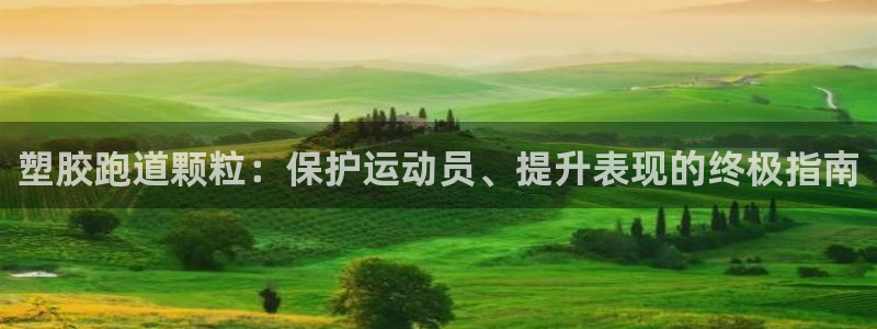 百度红足一1世：塑胶跑道颗粒：保护运动员、提升表现的终极指南
