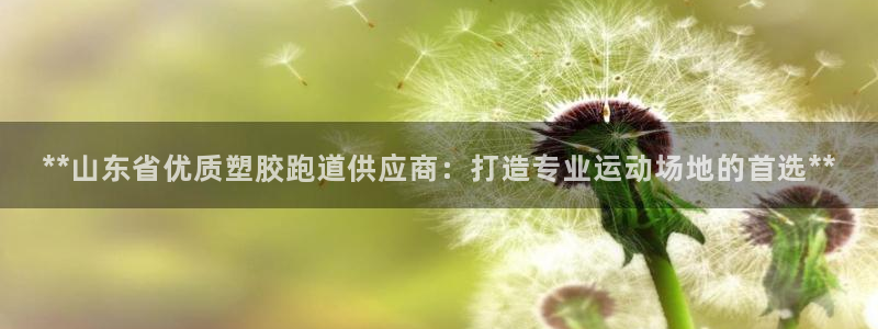 红足一1世官网：**山东省优质塑胶跑道供应商：打造专业运动场地的首选**