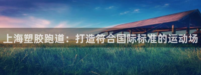 红足一1世皇冠登录：上海塑胶跑道：打造符合国际标准的运动场