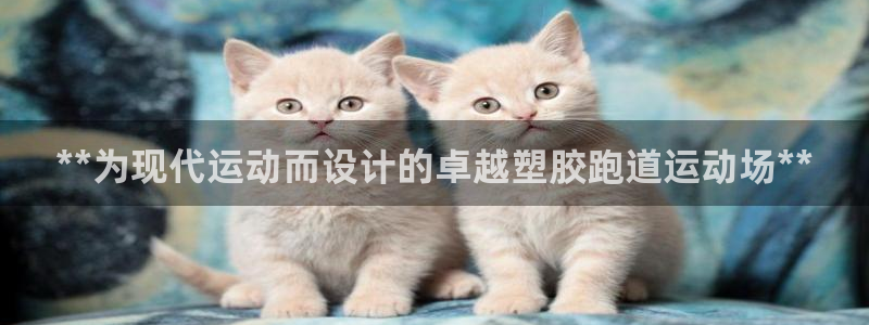 红足一1世比分球探：**为现代运动而设计的卓越塑胶跑道运动场**